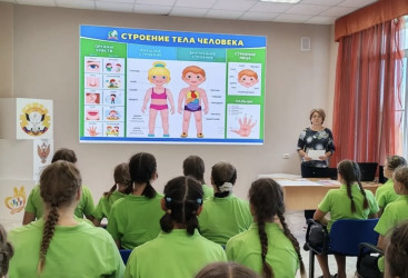 КАК УСТРОЕНО ЧЕЛОВЕЧЕСКОЕ ТЕЛО