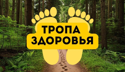 Тропа здоровья 2026