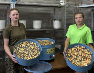 Тепло родного дом